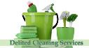 Delited Cleaning Services logo